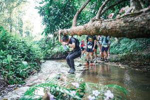 BIB: 
                            <button type="button" onclick="openModal(25453409)" class="btn btn-primary btn-sm float-right btn-popup" data-toggle="modal" data-target=".modal-high-quality">
                        <i class="fas fa-shopping-cart"></i> Add to Cart
                    </button>
                                            <button type="button" onclick="isThisMe(25453409, true)" class="btn btn-success btn-sm float-right btn-popup btn-isme hidden" data-toggle="tooltip" data-placement="bottom" title="นี่คือรูปของคุณใช่ไหม คลิกที่นี่เพื่อเอาเข้าอัลบั้ม">
                        <i class="fas fa-plus"></i> Add to album
                    </button>
                    <button type="button" onclick="isThisMe(25453409, false)" class="btn btn-warning btn-sm float-right btn-popup btn-isnotme hidden">
                        <i class="fas fa-ban"></i> Remove from album
                    </button>